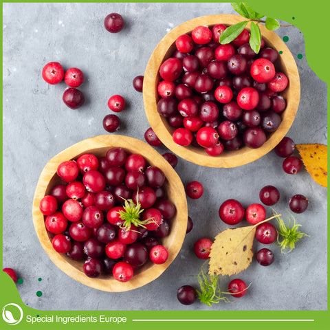 Cranberry Flavour Drop