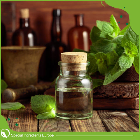 Garden Mint Flavour Drop