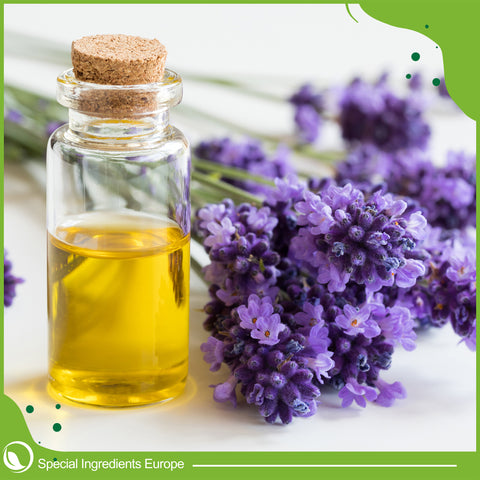 Lavender Flavour Drop