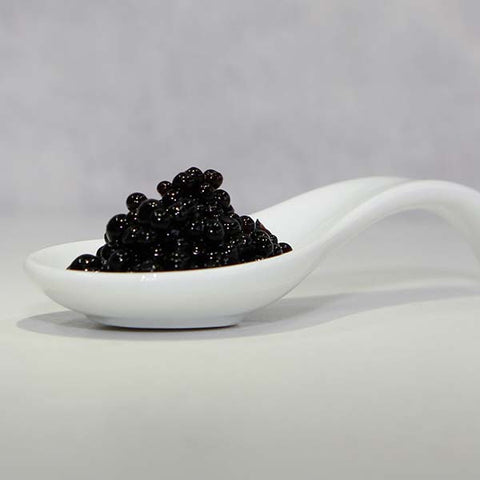 https://specialingredientseurope.com/cdn/shop/products/Balsamic-Vinegar-Pearls-_1__squared.jpg?v=1666791596&width=480