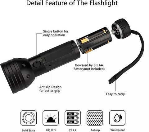 Glow in the Dark Kit – Easy Glow & Black UV Light Torch